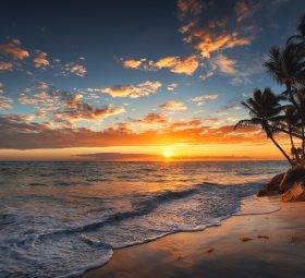 Nothing Ventured Nothing Gained